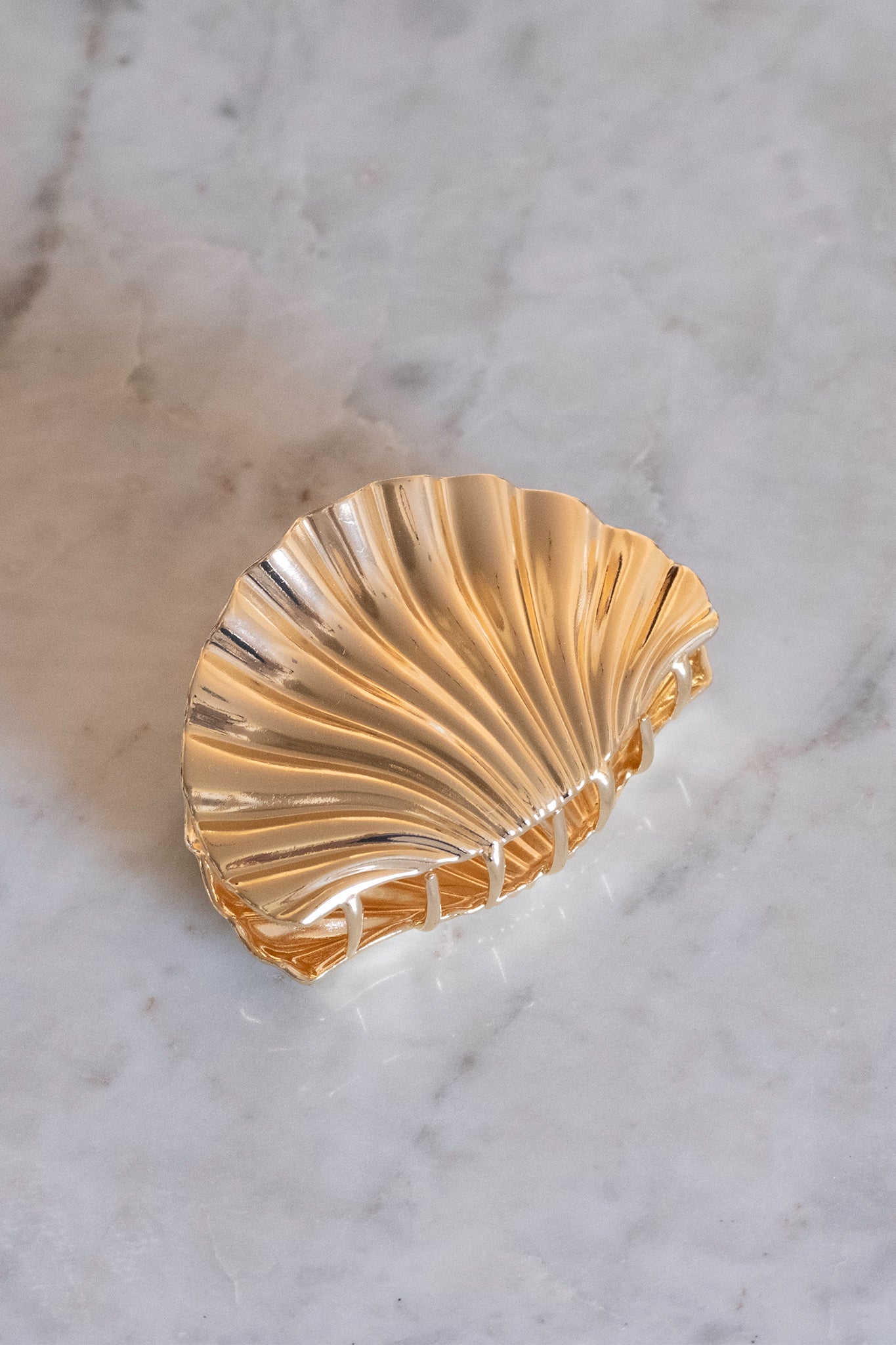 Shell Metal Claw Clip
