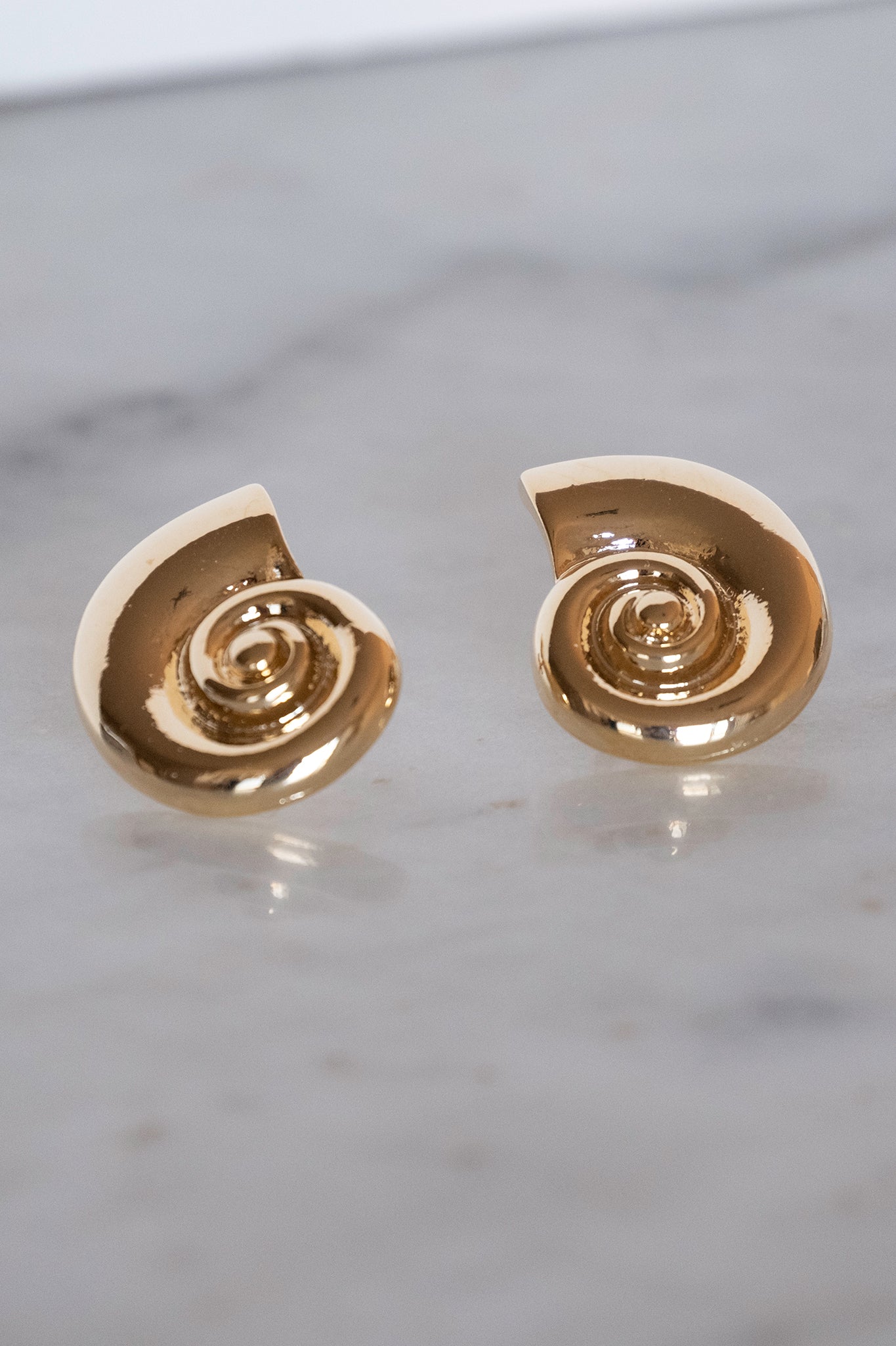 Swirl Seashell Gold Dipped Earrings