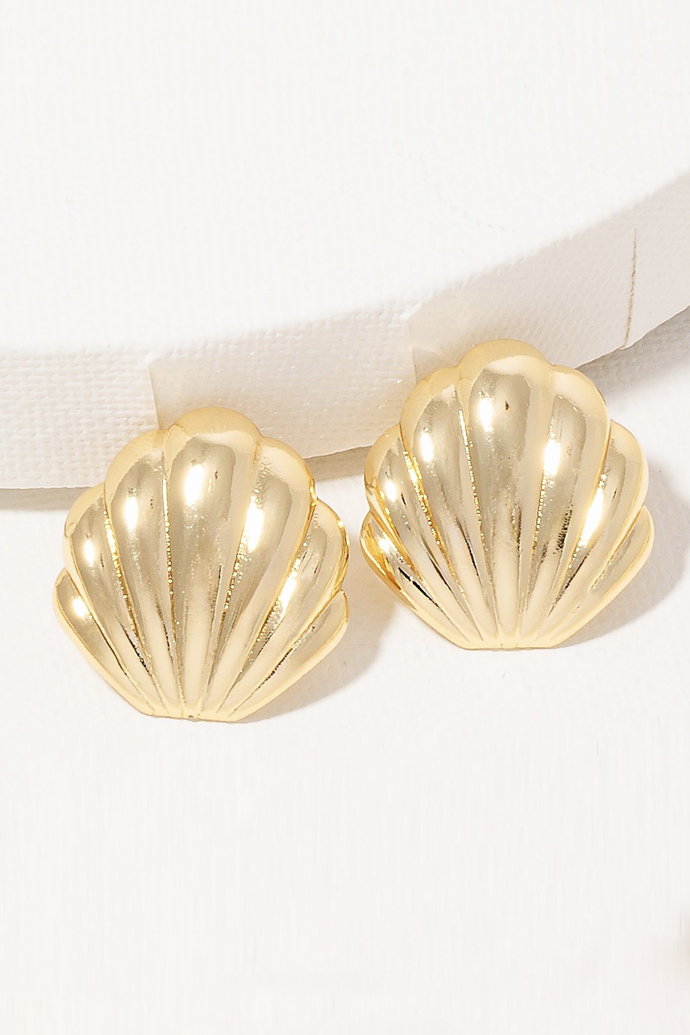 Seashell Stud Earrings