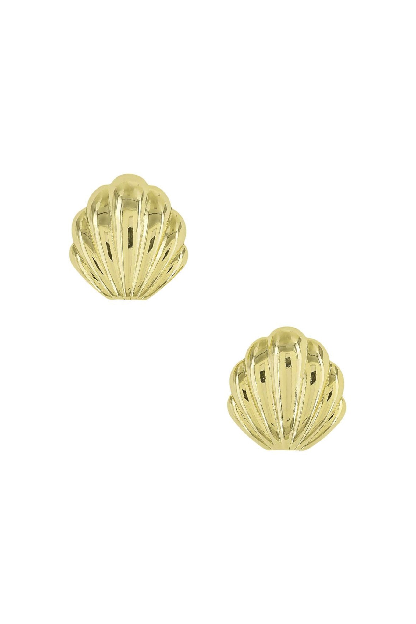 Seashell Stud Earrings