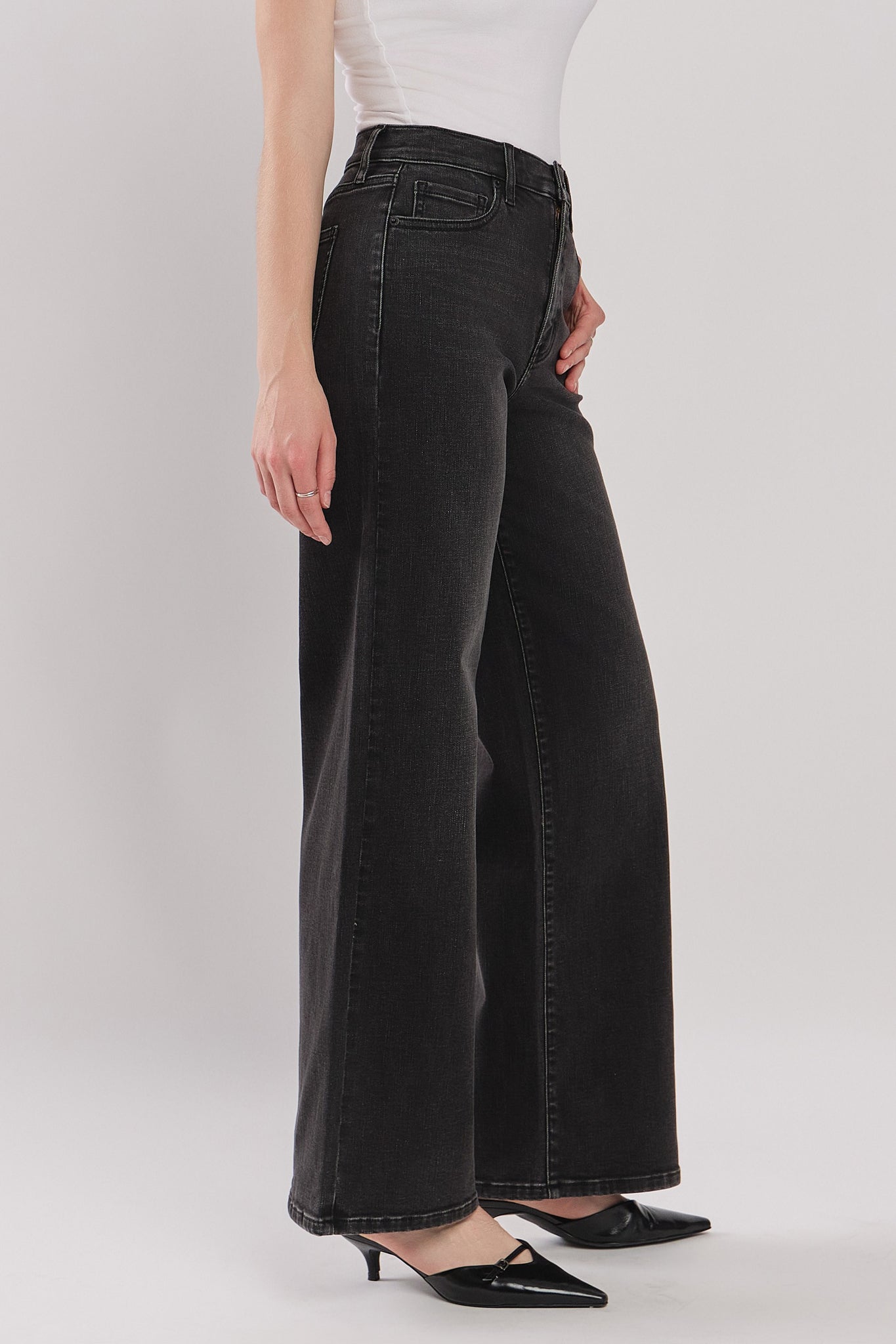 Eunina Joy Wide Leg Jeans in Chromosa