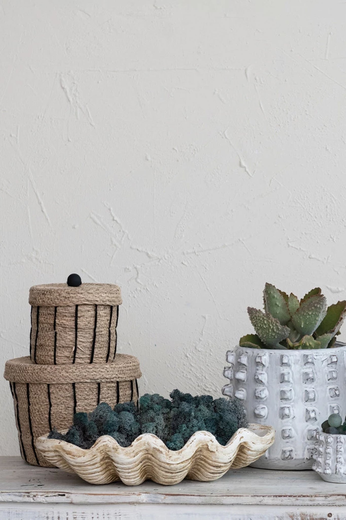 Tideworn Clamshell Bowl