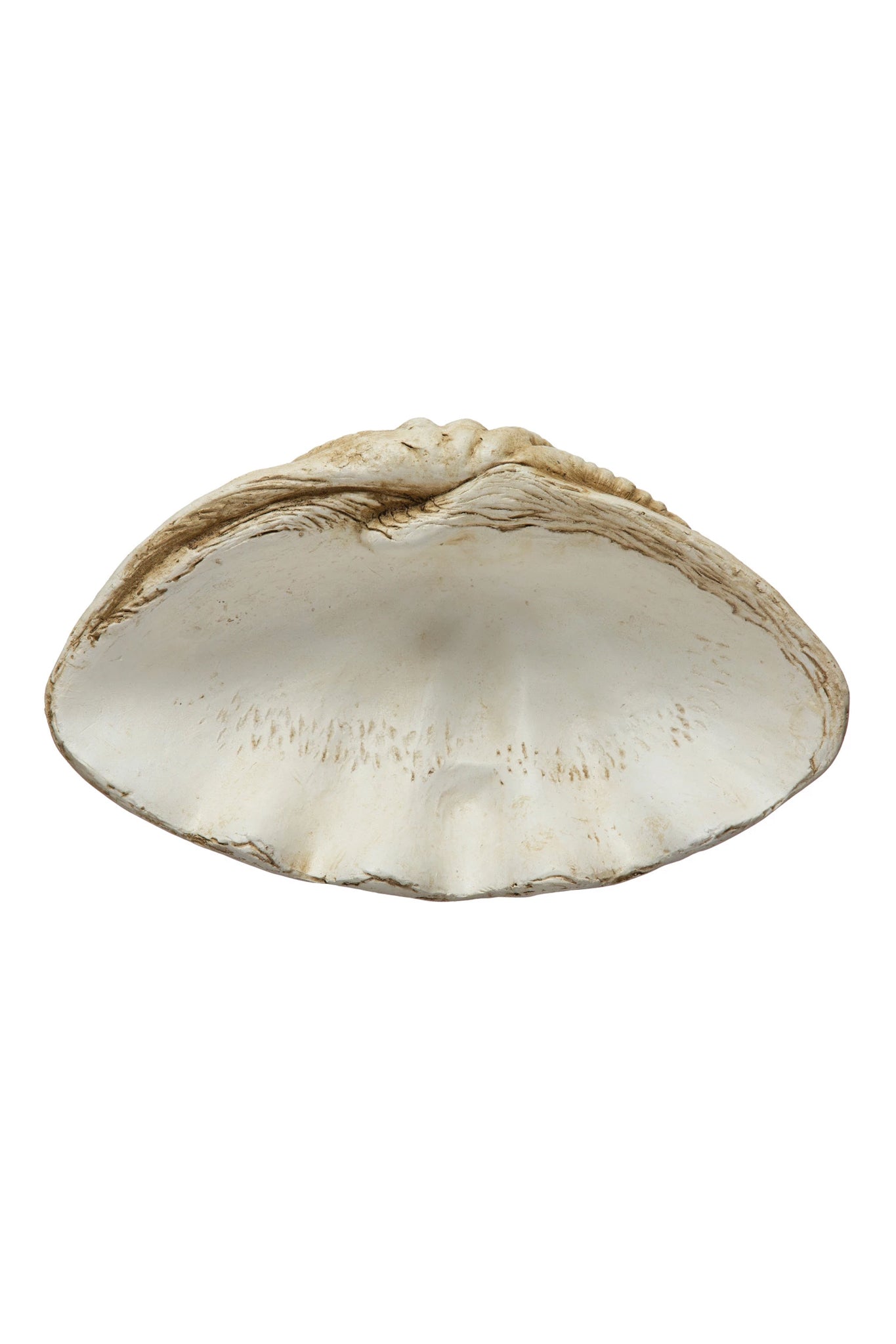 Tideworn Clamshell Bowl