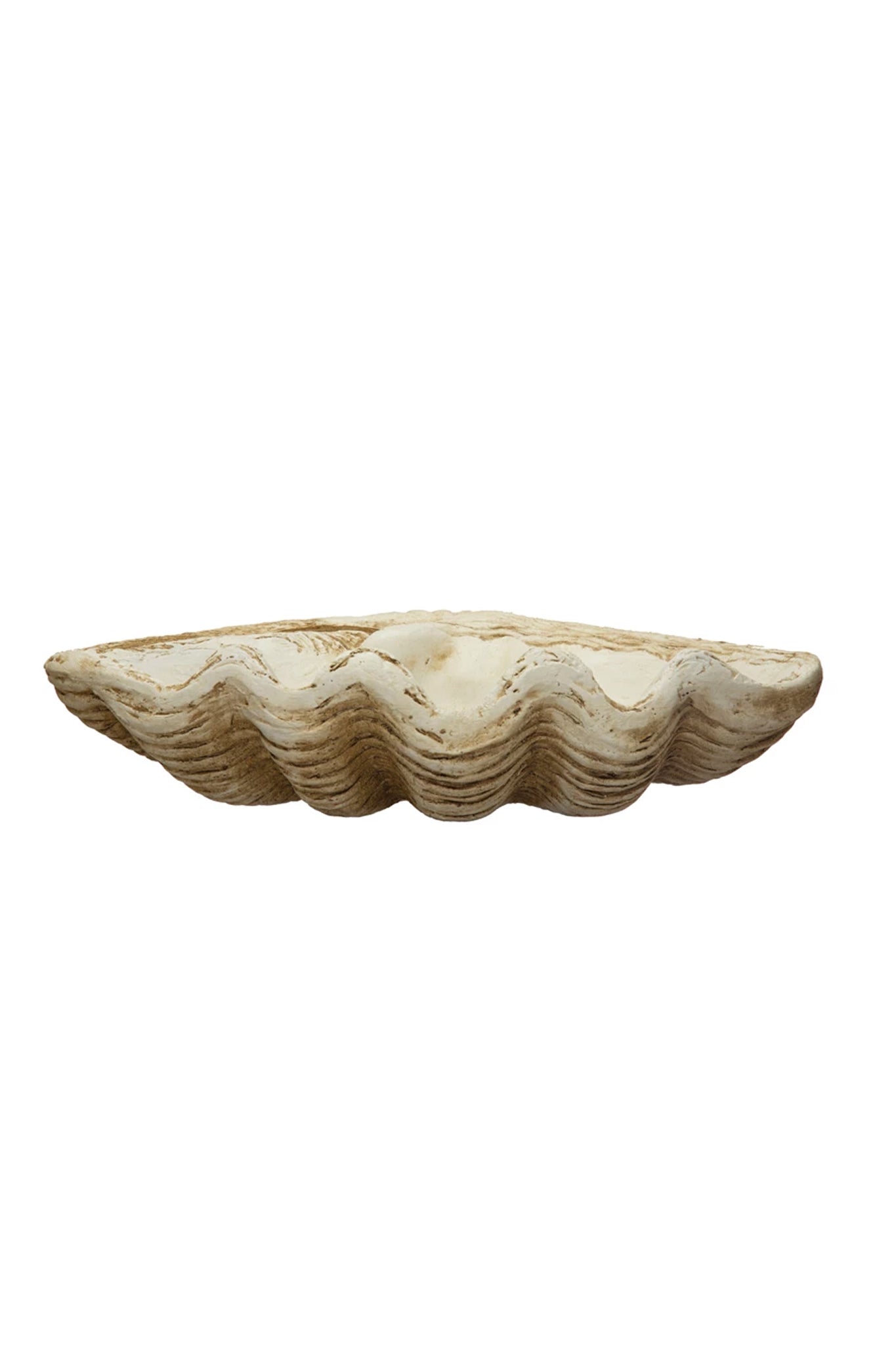 Tideworn Clamshell Bowl