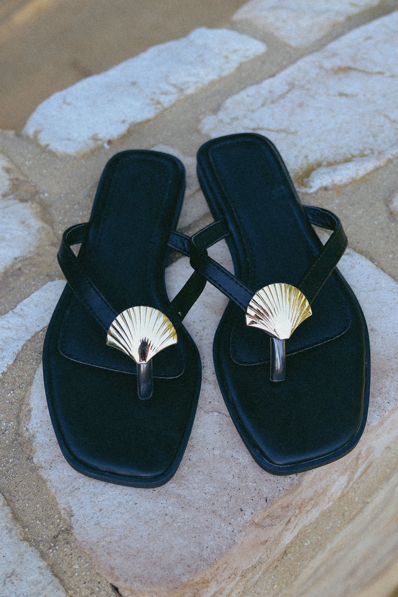 Shell Flat Sandals in Black