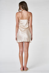Aster Dress
